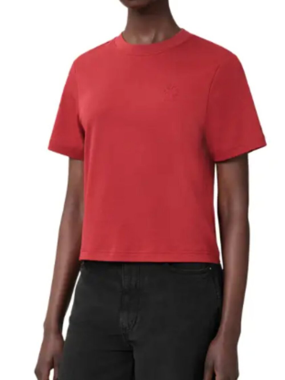 AllSaints Lisa Cotton Crewneck T-Shirt  X-Small, BURNT BRICK RED